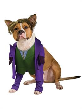 Batman the Dark Knight Joker Pet Costume