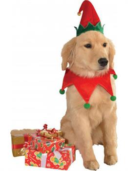 Elf Hat and Collar Pet Costume S/M