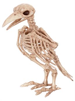 7" Skeleton Tweety Bones