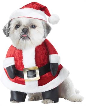 Santa Paws Pet Costume