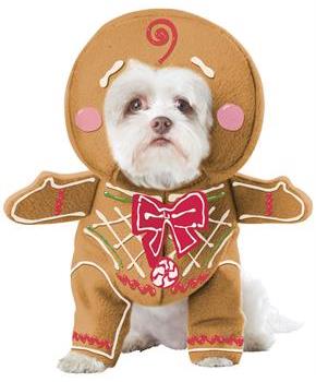 Gingerbread Pup Pet Costume