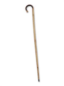Bamboo Cane Vintage Antique Walking Stick