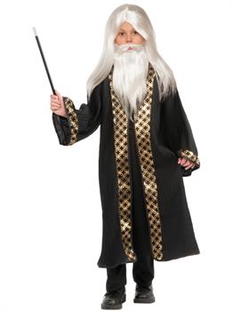Wizard Child Wig and Beard