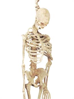 5 Feet Latex Skeleton