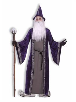 Wizard Adult Costume