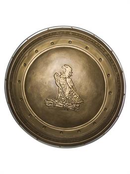 Justice League: Wonder Woman 24 shield