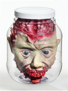 3D Head In Jar Prop