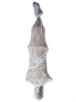 Hanging Cocoon Prop (No Motion)
