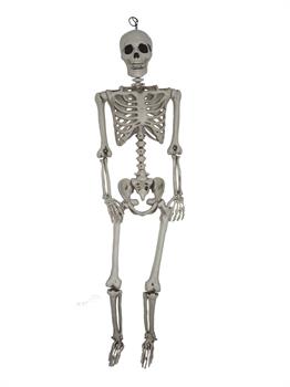 5Ft Hanging Skeleton Prop