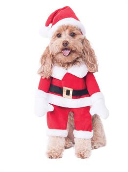 Walking Santa Pet Costume