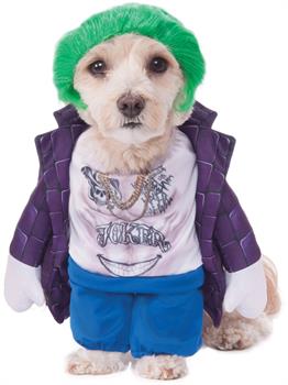 Suicide Squad The Joker Pet Costume