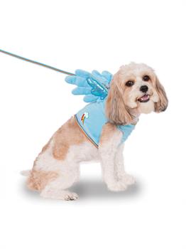 My Little Pony Rainbow Dash Wing Har Pet Costume