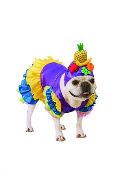 Brazilian Bombshell Pet Costume