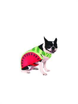 Watermelon Pet Costume Pet Costume