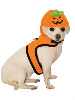 Jack-A-Lantern Pet Costume