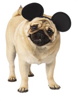 Mickey Mouse Pet Costume