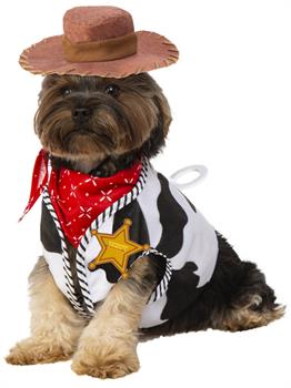 Woody Pet Costume
