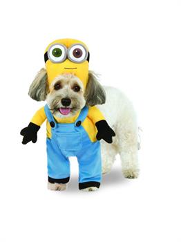 Minion Bob Arms Pet Costume
