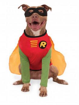 Big Dogs Robin Pet Costume