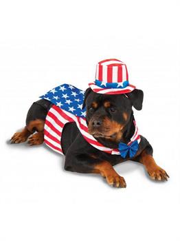 Big Dogs Uncle Sam Pet Costume