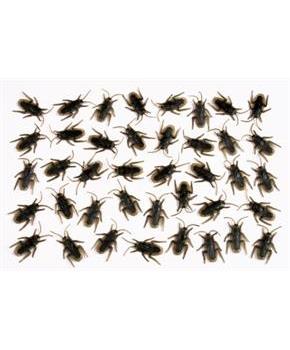 Bag O Roaches