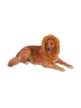 Deluxe Lion's Mane for Pets