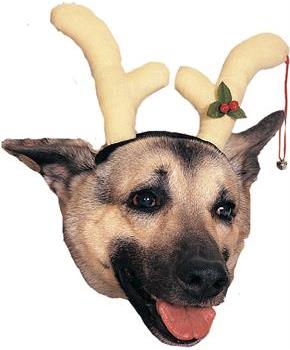 Pet Antlers