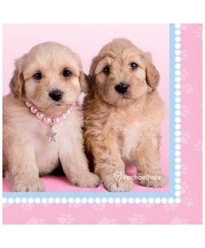 rachaelhale Glamour Dogs Lunch Napkins