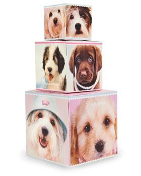 Rachaelhale Glamour Dogs Building Blocks Centerpiece / Gift Boxes 