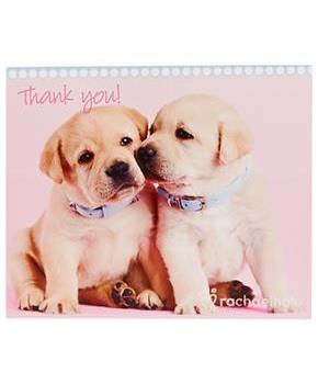 Rachaelhale Glamour Dogs Thank-You Notes 