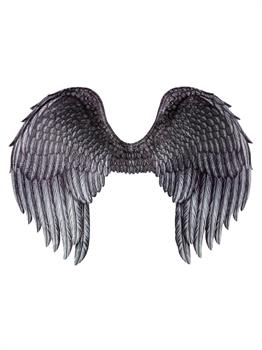 Dark Angel Wings