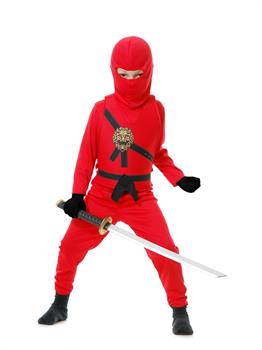 Ninja Avenger Series 1-Child Costume