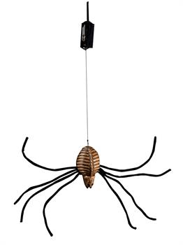 Drop Down Spider