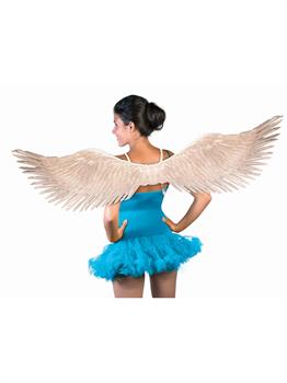 Feather Wings Silver