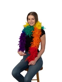 Rainbow Feather Garland