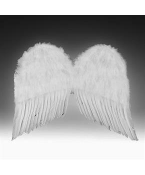 Feather Wings