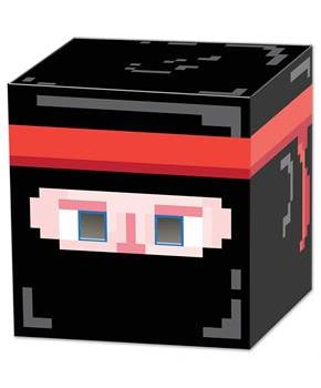 Ninja 8-Bit Box Head