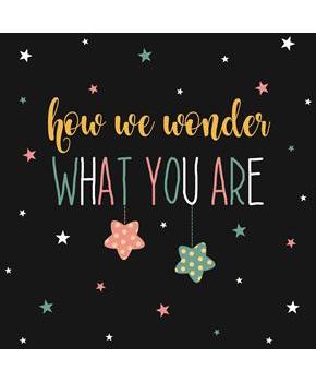Twinkle Twinkle How We Wonder Lunch Napkins