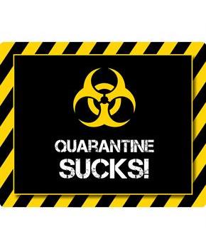 Quarantine Party Stickers (Sheet of 15)