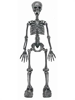 36" Standing Bone Skeleton with Light Up Eyes