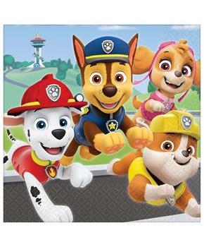 Paw Patrol Adventures Lunch Napkins (16)