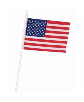 Patriotic Flag