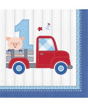 Charming Farmhouse 1st Birthday Lunch Napkins (16)