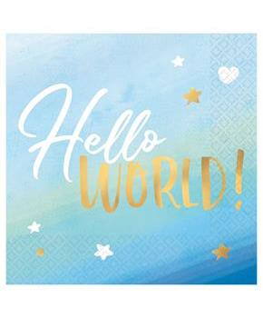 Hello World Boy Lunch Napkins (16)