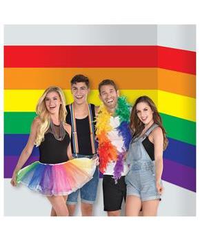 Rainbow Stripe Backdrop Scene Setter