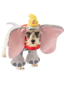 Pet Dumbo Costume (L)