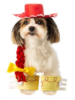 Pet Toy Story Jessie Accessory Set