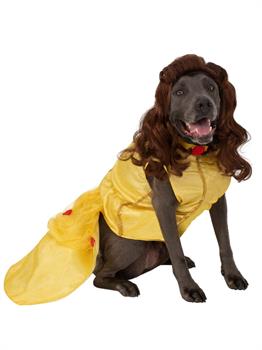Pet Big Dogs Beauty and the Beast Belle Costume (