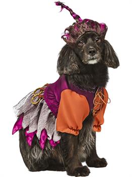 Hocus Pocus Mary Pet Costume 