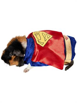 Superman Small Pet Costume 